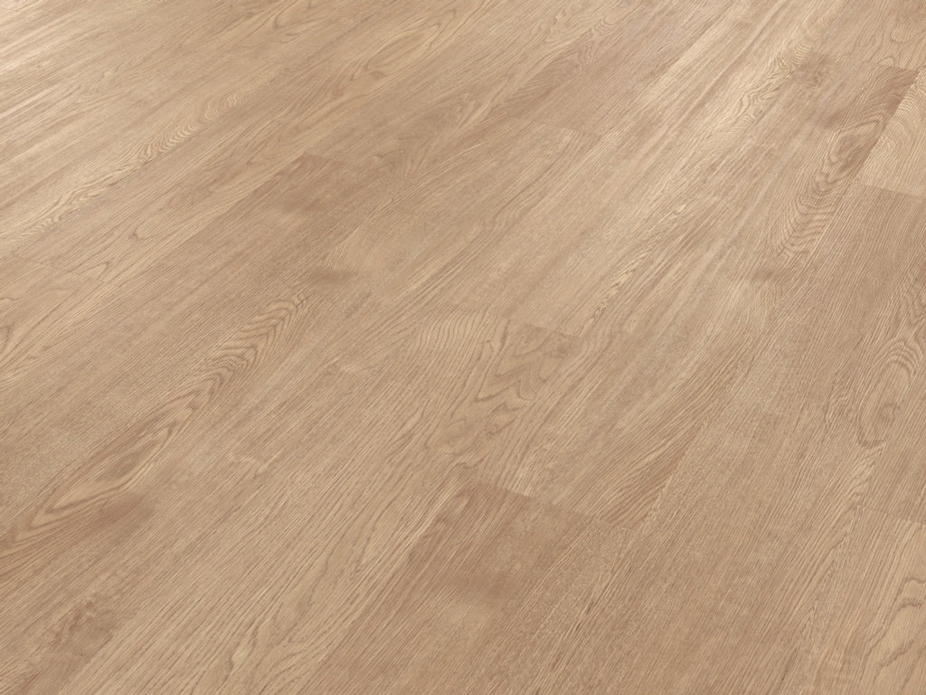 Palio Gluedown Tavolara - 4.769m2