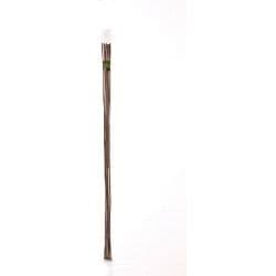 Ambassador Bamboo Canes - 7' Pack 10