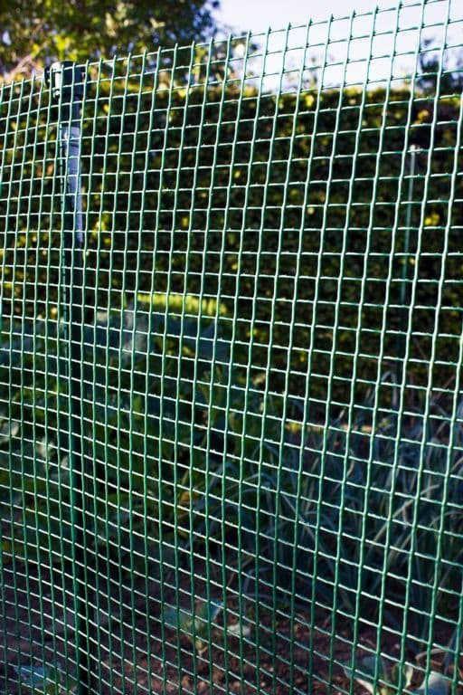 Ambassador Garden Mesh - 5 x 0.5m