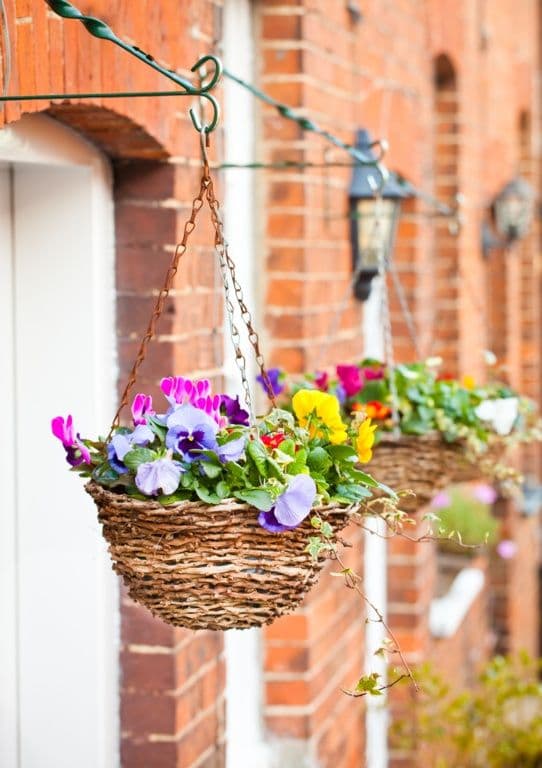 Ambassador Rattan Hanging Basket - 12"