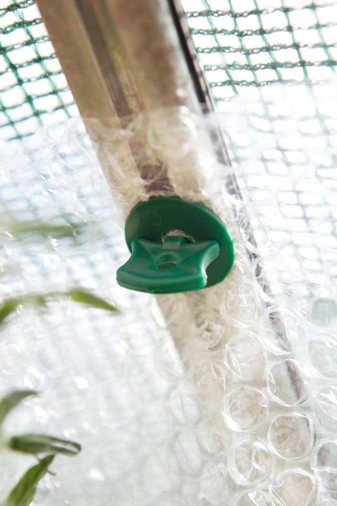 Ambassador Super Alliplugs - Pack 50