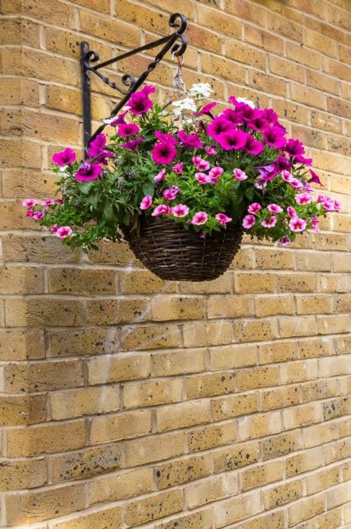 Ambassador Willow Hanging Basket - 12"