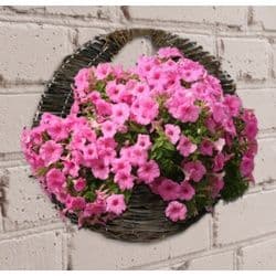 Ambassador Willow Wall Basket - 16"