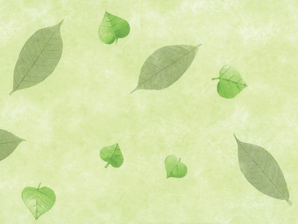 d-c-fix® Manhattan Tablecloth - Nancy Green - 20m Roll x 140cm