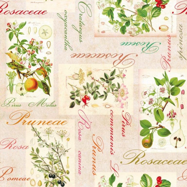 d-c-fix® Manhattan Tablecloth - Rosalie - 20m Roll x 140cm