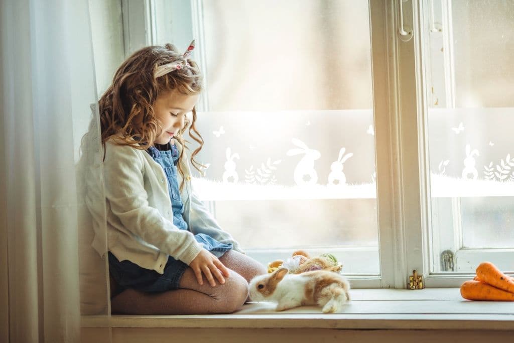 d-c-fix® Static Cling Window Border - Rabbits - 1.5m