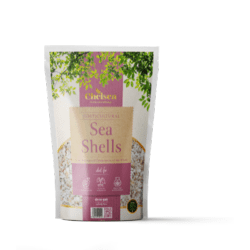 Deco-Pak Chelsea Horticultural Sea Shells - Handy Bag