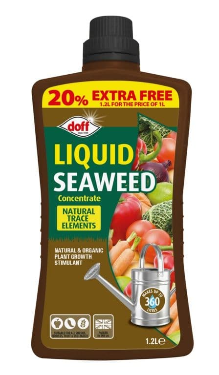 Doff Liquid Seaweed Concentrate - 1.2L Extra Fill