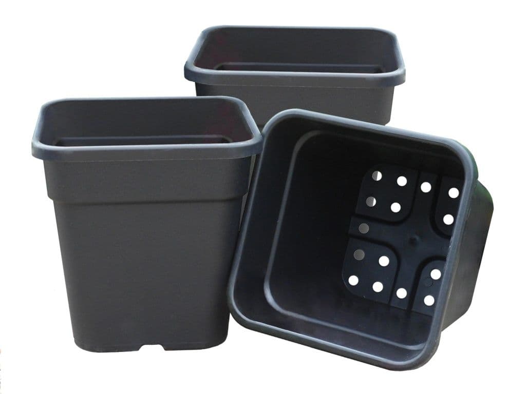 Garland 25cm Square Tomato Pots - Pack 3