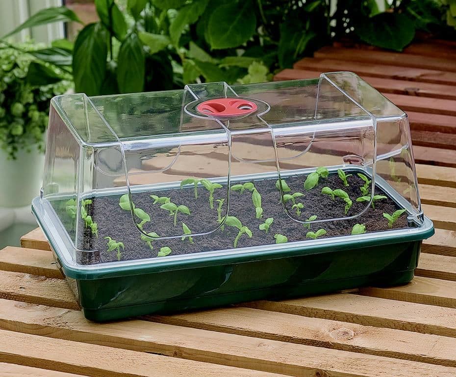 Garland High Dome Propagator - Large
