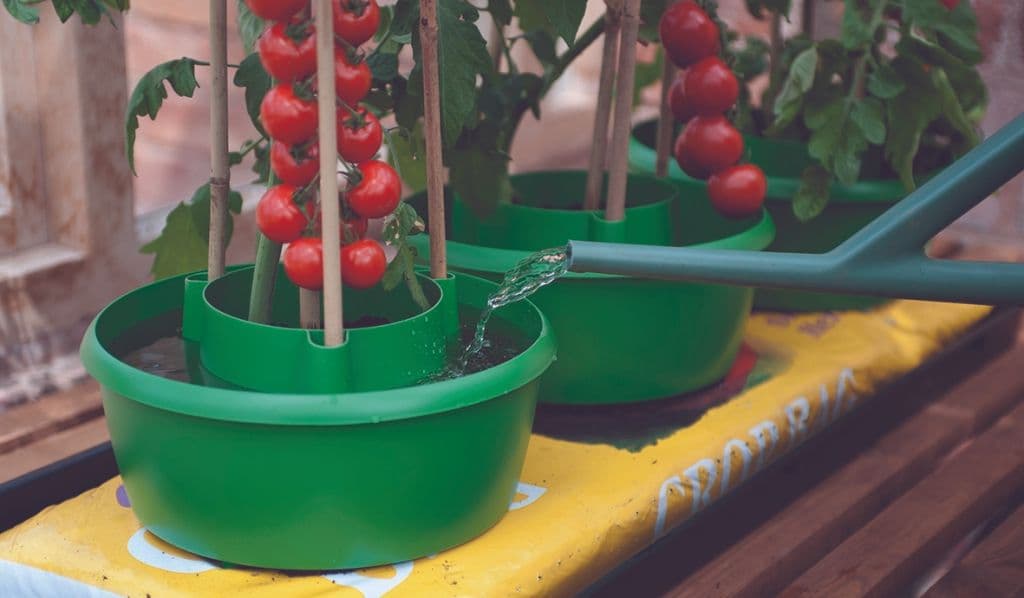 Garland Plant Halos Green - Pack 3