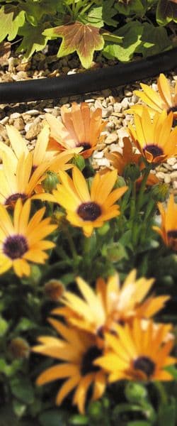 Hozelock Supply Hose - 4mm (10m)