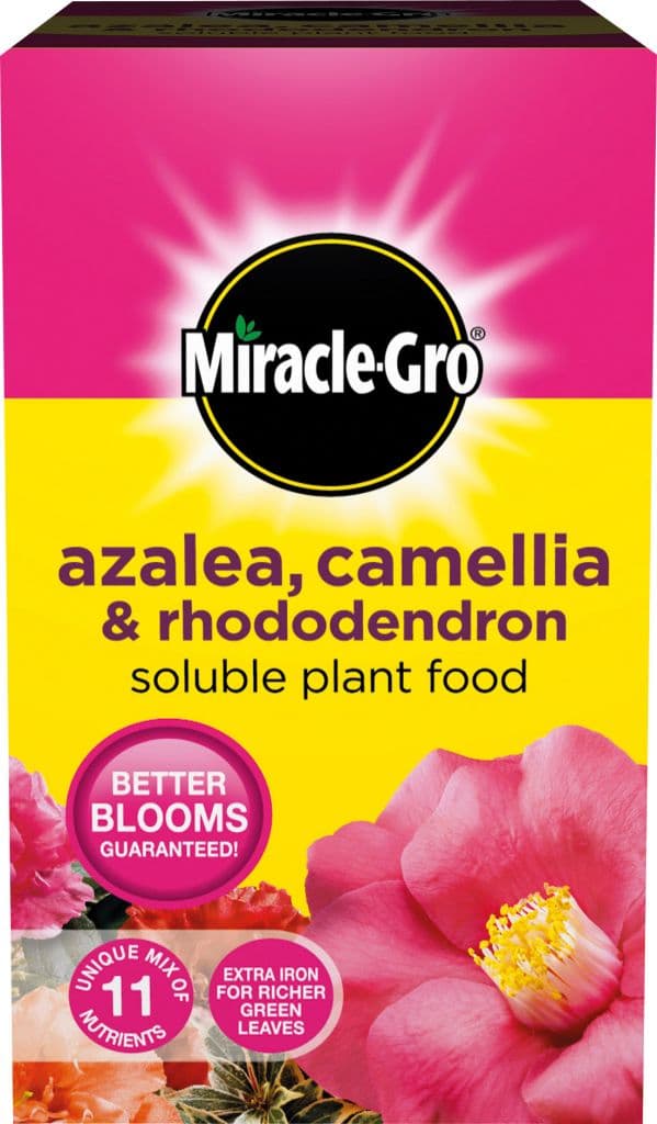 Miracle-Gro® Azalea, Camellia & Rhododendron Soluble Plant Food - 500g Carton
