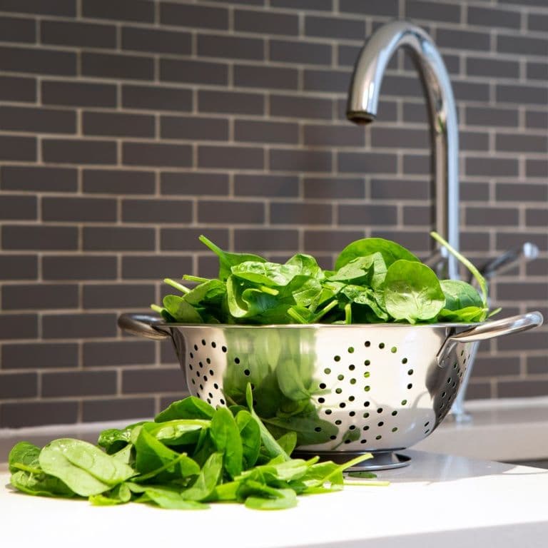 Pendeford Stainless Steel Colander 2 Side Handles - 23cm