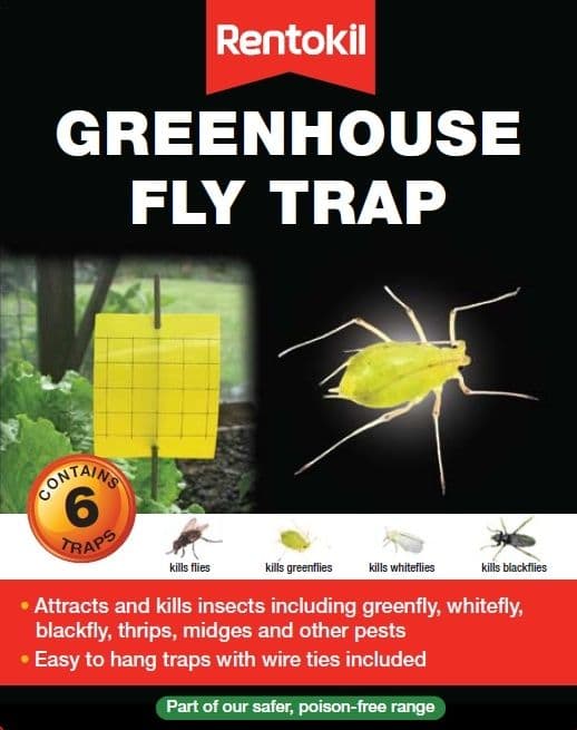 Rentokil Greenhouse Fly Trap - 6 Traps