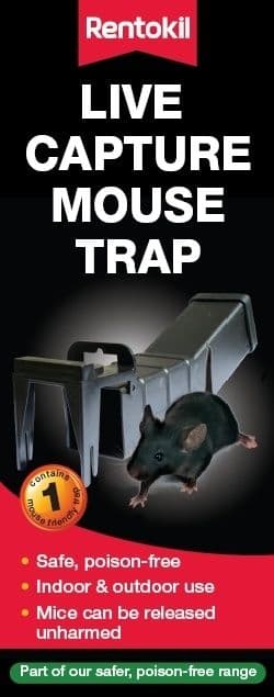 Rentokil Live Capture Mouse Trap - Boxed