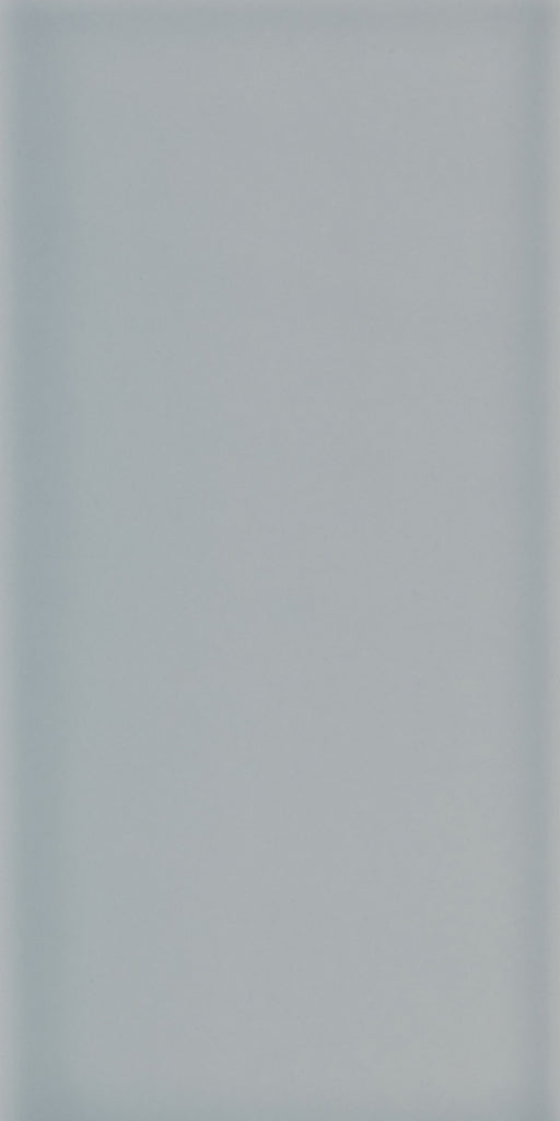 Johnson Tiles Savoy Gloss 200 x 100 x 6.5mm - Leaf Pack Of 20 1m2