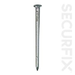 Securfix Round Wire Nails Galvanised 100mm - 250g