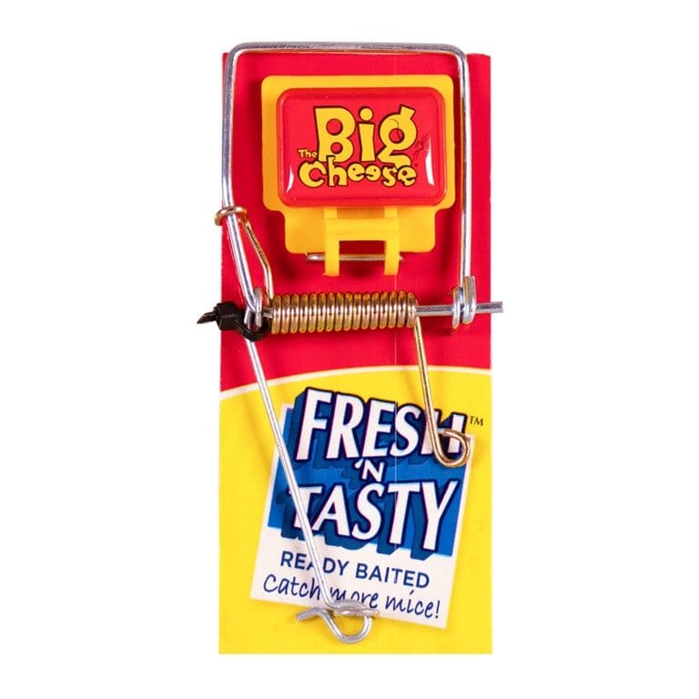 The Big Cheese Fresh Baited Mouse Trap - Single