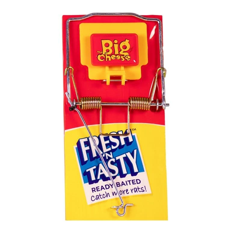 The Big Cheese Fresh Baited Rat Trap - Single