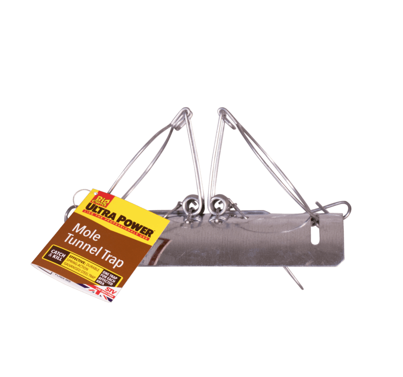 The Big Cheese Mole Tunnel Trap