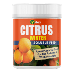 Vitax Citrus Winter Feed - 200g