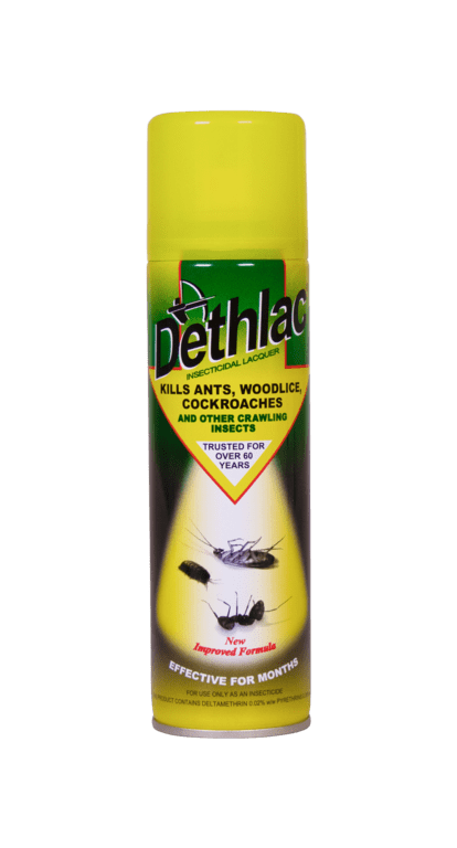 Zero In Dethlac Insecticidal Lacquer - 250ml Aerosol