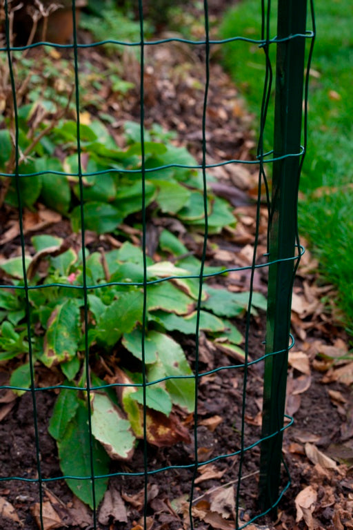 Apollo Fencing Stakes - 1.5m