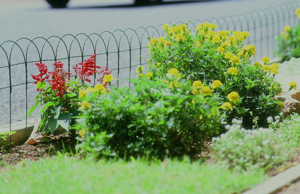 Apollo Border Fence - 400mm x 10m
