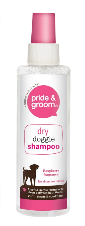 Pride & Groom Dry Shampoo Spray - 200ml