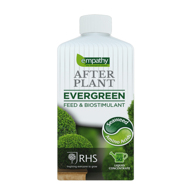 Empathy After Plant Evergreens - 1L