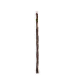 Ambassador Bamboo Canes - 6' Pack of 10