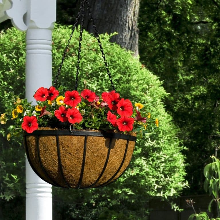 Ambassador Flat Bar Hanging Basket - 12"