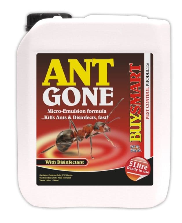 Buysmart Ant Gone Ant Killer - 5L Jerrycan