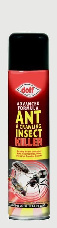 Doff Ant and Crawling Insect Killer - 300ml Aerosol