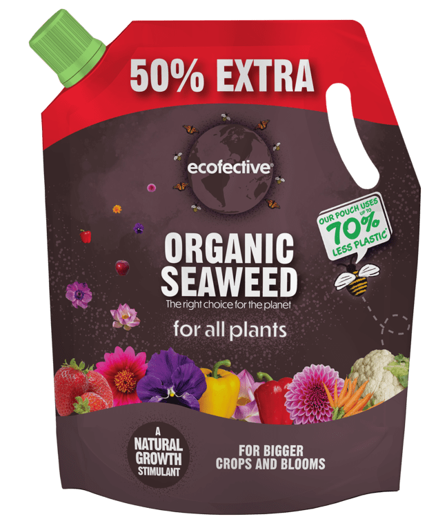 Ecofective Organic Seaweed - 1.2L