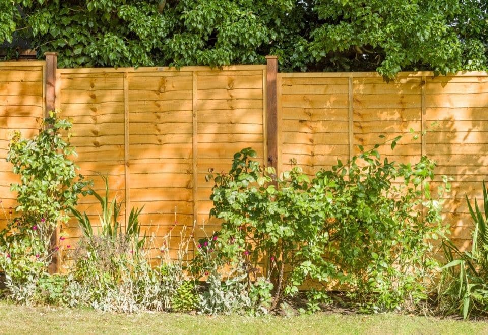 Grange Pressure Treated Fence Panel - 1.83m x 180cm