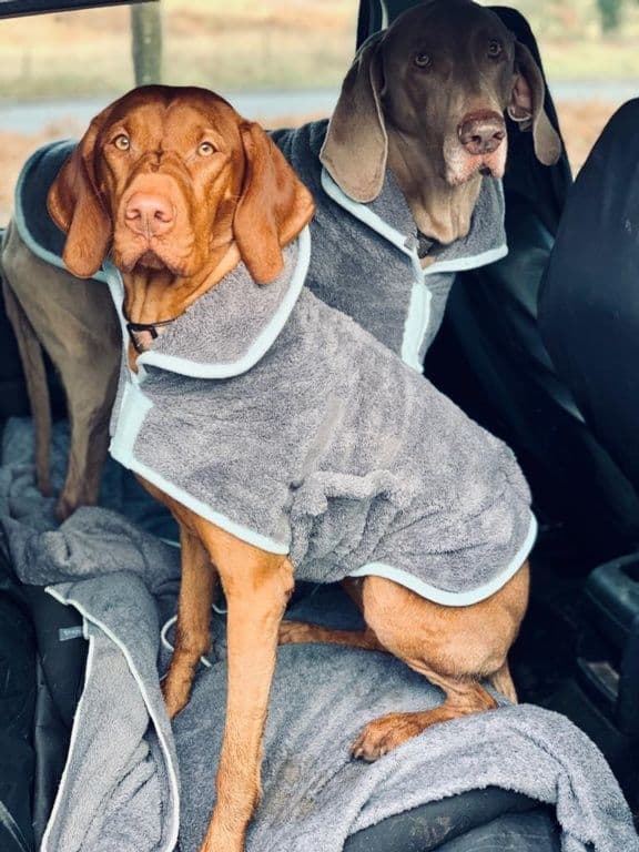 Henry Wag Drying Coat - 52cm