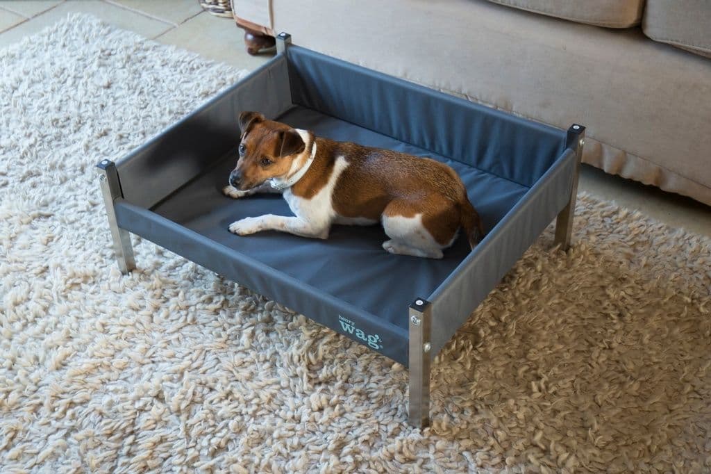 Henry Wag Elevated Dog Bed - Medium