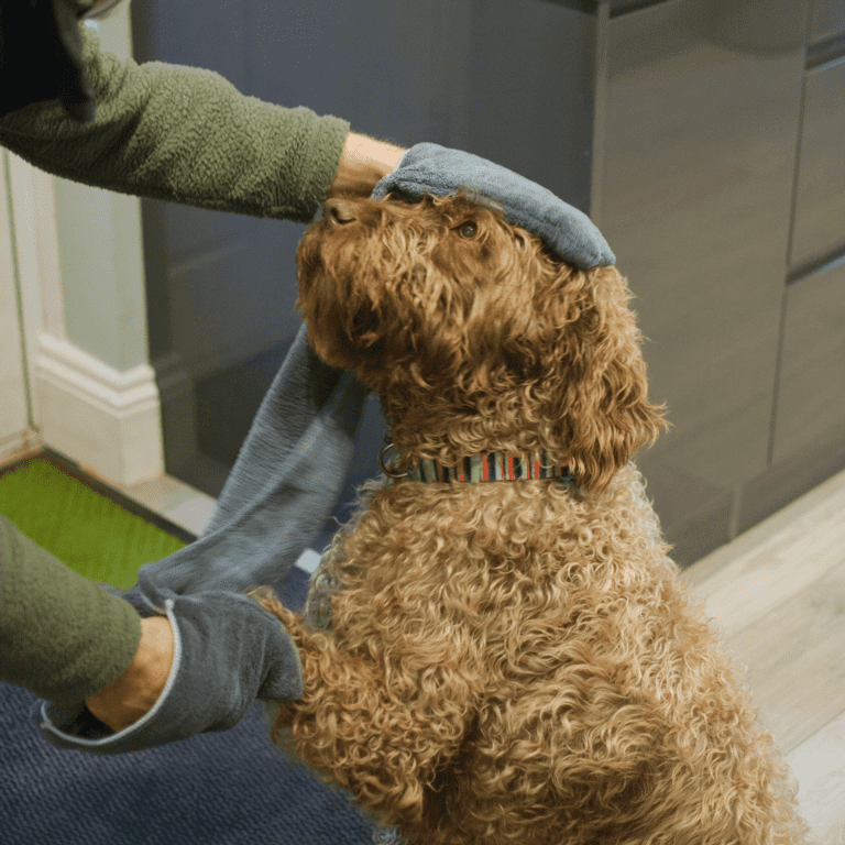 Henry Wag Pet Glove Towel - 100x22