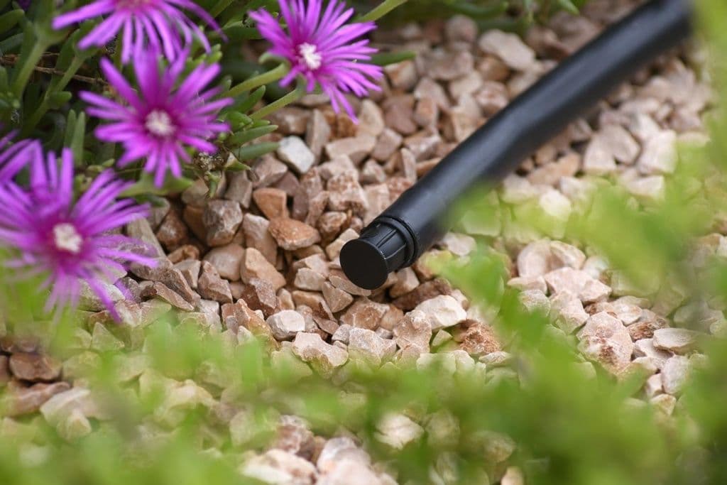 Hozelock End Plug 13mm - Pack 12