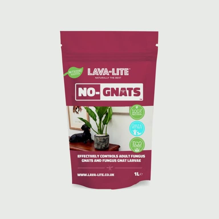 LAVA-LITE No Gnats Fungus Control - 1L