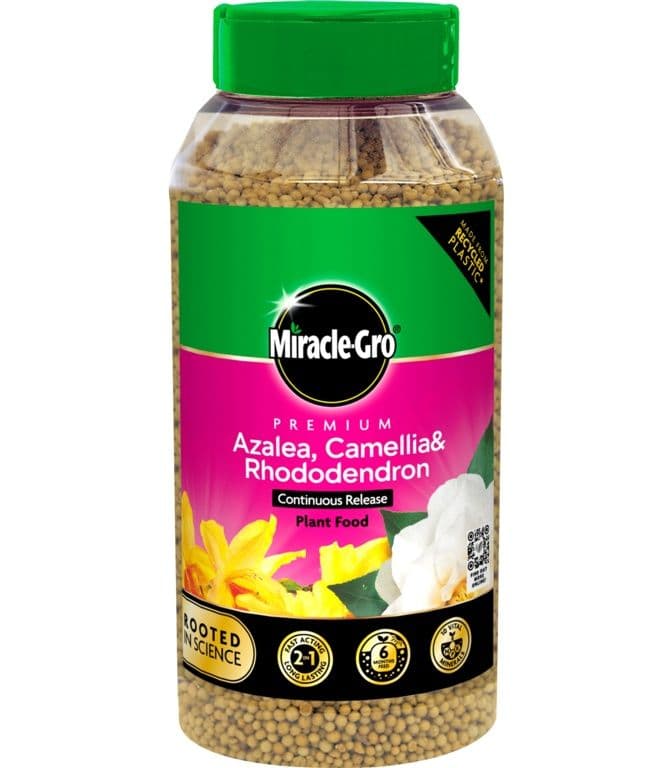 Miracle-Gro® Azalea, Camellia & Rhododendron Continuous Release Plant Food - 900g