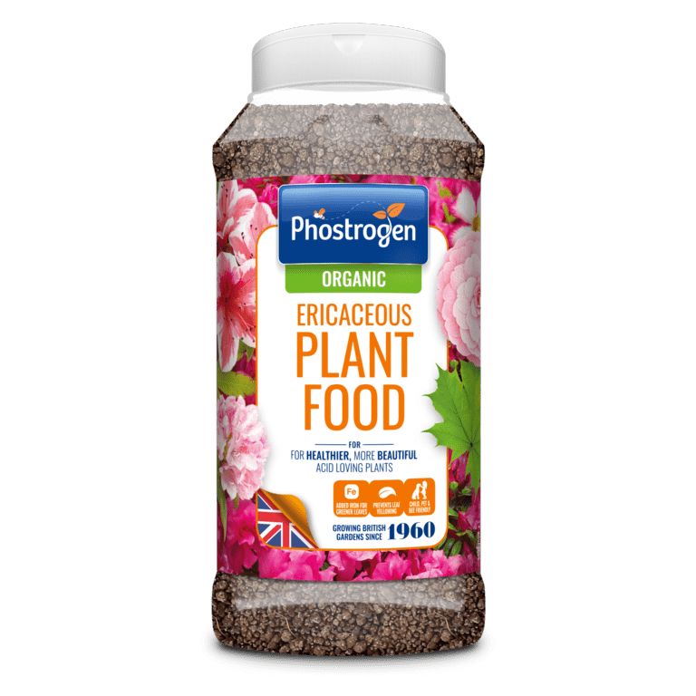 Phostrogen Ericaceous Plant Food