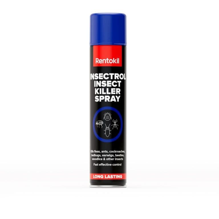 Rentokil Insectrol Insect Killer Spray - 600ml
