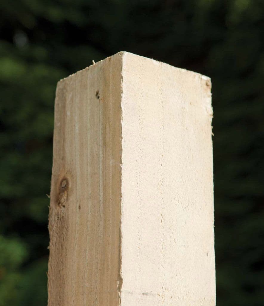 RMPP Pressure Treated Fence Post - 75mm x 75mm x 2.4m