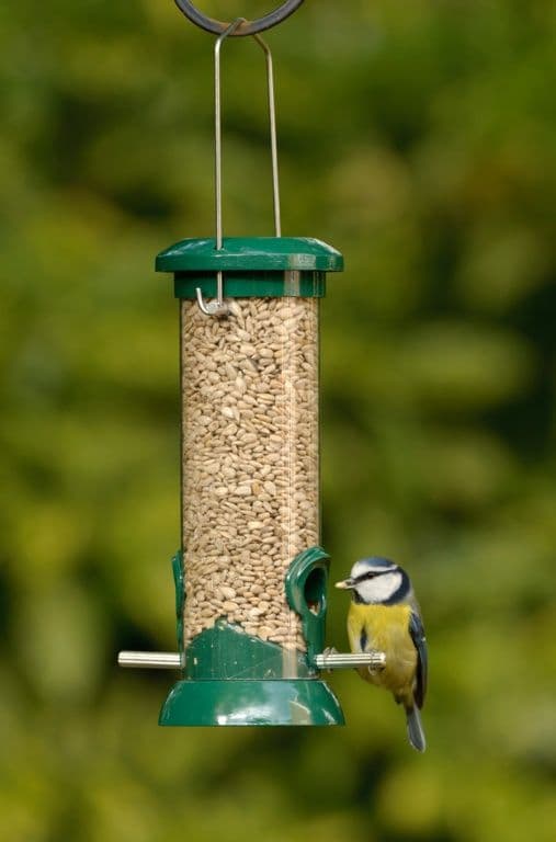 Rspb Easy Clean Seed Feeder - Small