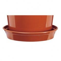 Stewart Flower Pot Saucer - 7-8"