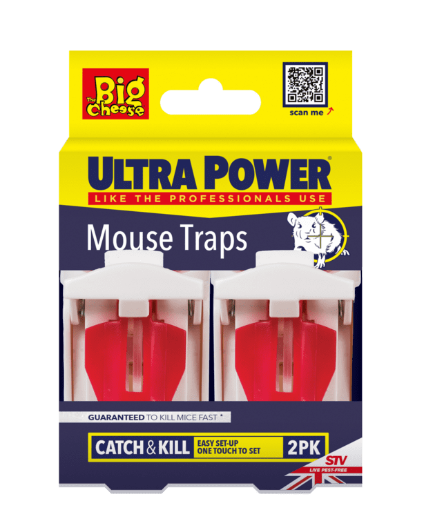 The Big Cheese Ultra Power Mouse Traps - Twin Pack