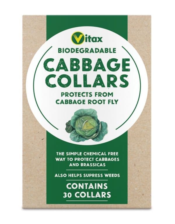Vitax Cabbage Collars - Pack 30
